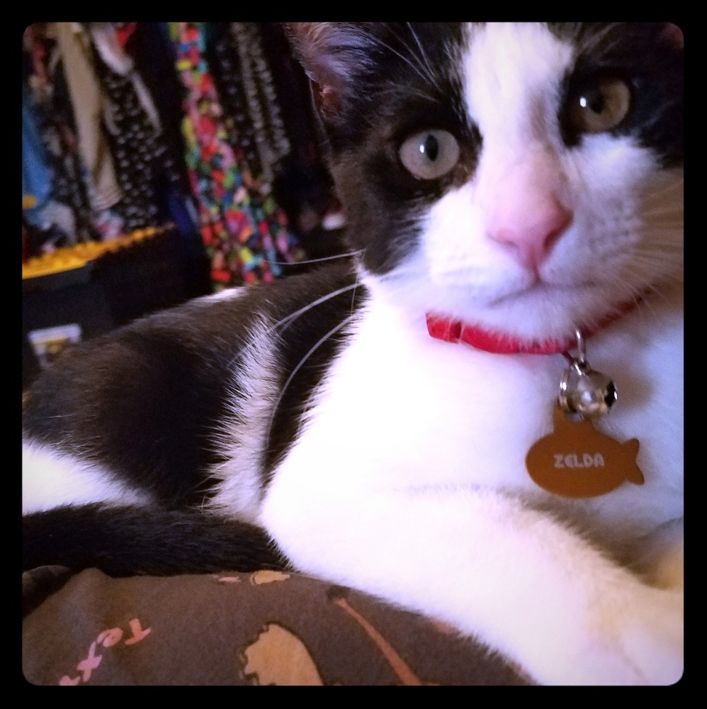 Meet your Posher, Autumn